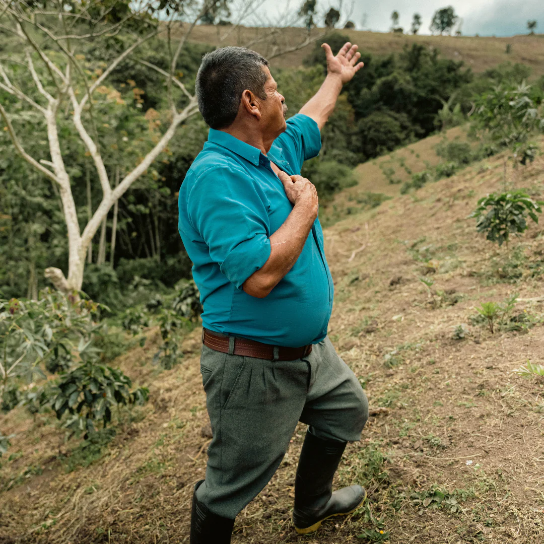 Colombia – Luis Felipe Leguizamo – Washed Process - Image 2