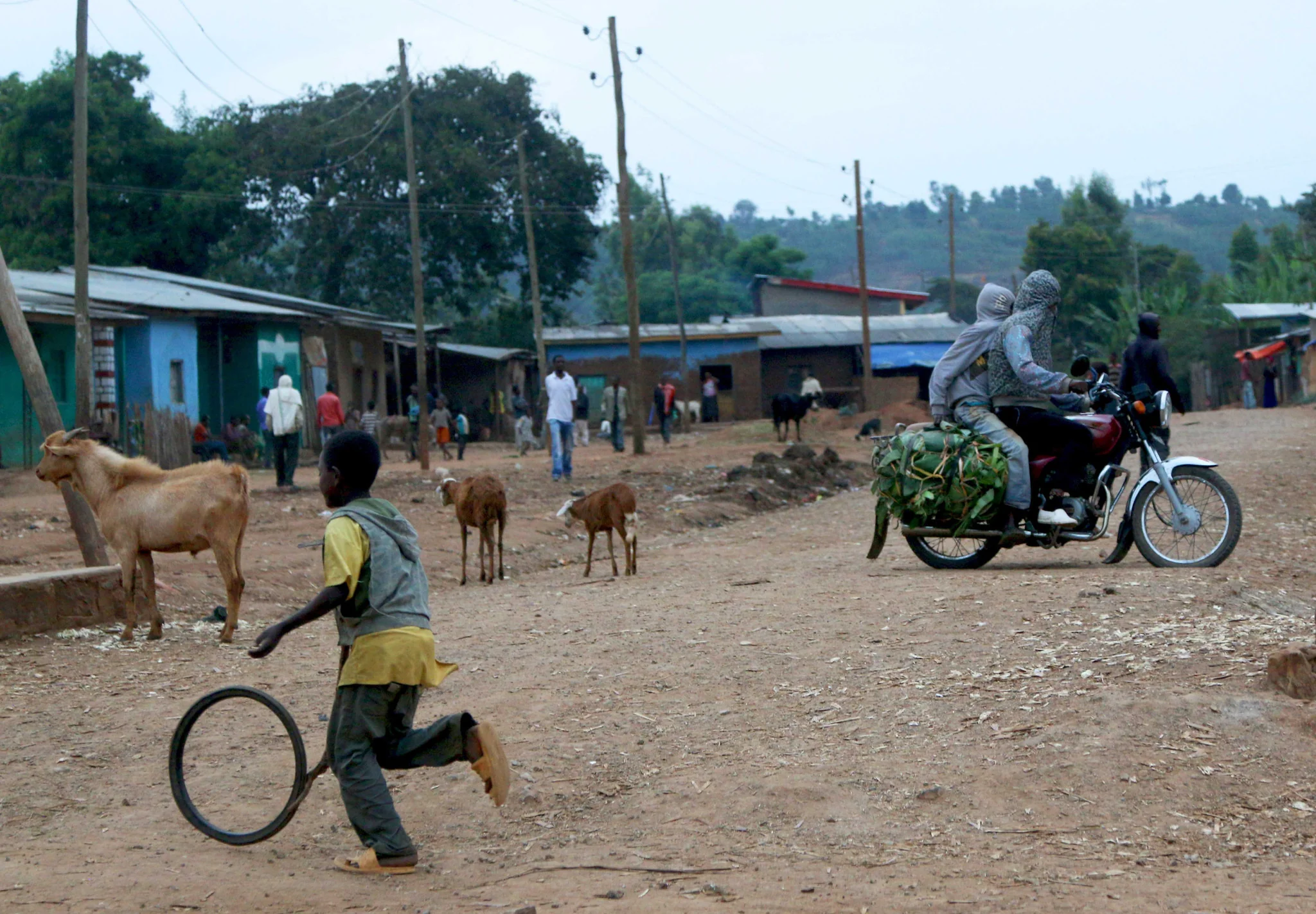 Ethiopia, Sidama Guji Gr 1 Washed - Image 3