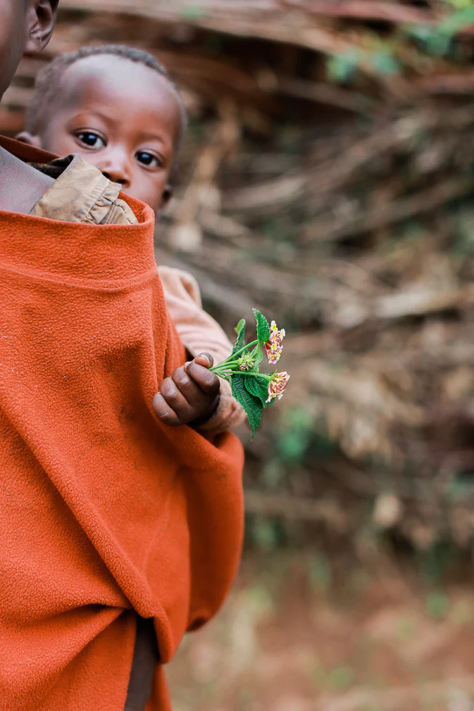 Rainforest Roast - Kibira Forest Reforestation Project - Image 11