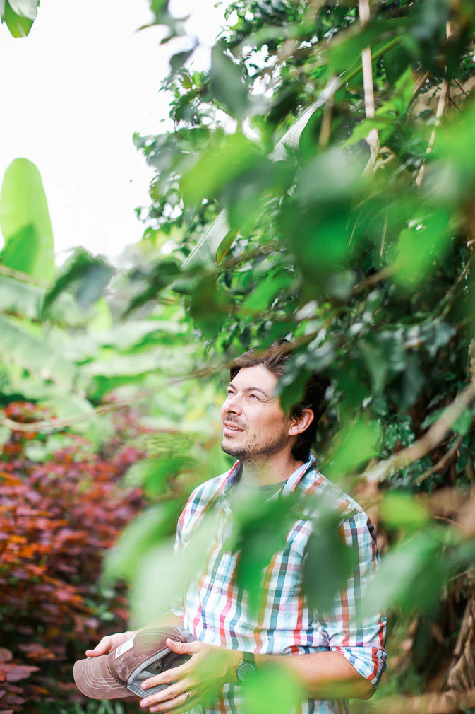 Rainforest Roast - Kibira Forest Reforestation Project - Image 5